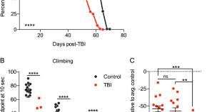 recent research papers on neuroscience