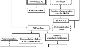 bioremediation research papers