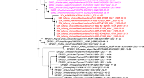 research topics about microbiology