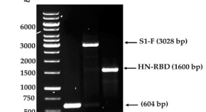 list microbiology dissertation topics project