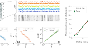 recent research papers on neuroscience