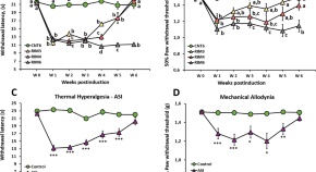 recent research papers on neuroscience