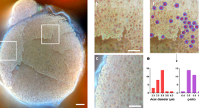 latest research topics in neuroscience