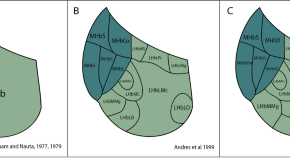 recent research papers on neuroscience