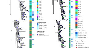 microbiology research topics for postgraduate