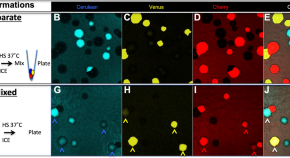 research topics about microbiology