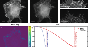 recent research papers on neuroscience