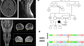 recent research papers on neuroscience