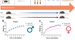 recent research papers on neuroscience