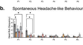 recent research papers on neuroscience