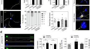 recent research papers on neuroscience