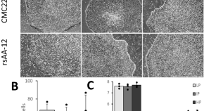 recent research papers on neuroscience