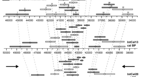 scientific research titles list