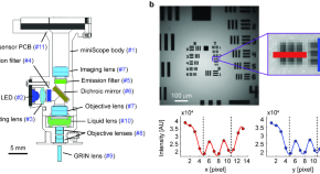 recent research papers on neuroscience