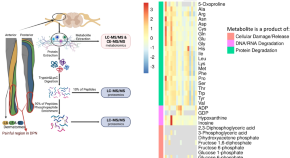 recent research papers on neuroscience