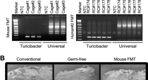 thesis research topics in microbiology