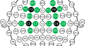 recent research papers on neuroscience