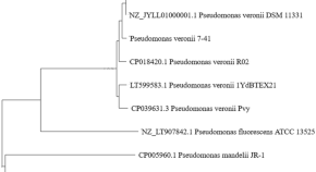 bioremediation research papers