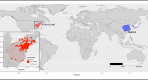 research paper of environmental science