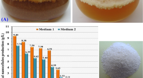 material science research topics