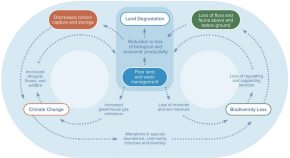 sustainability research essays