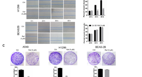 oncology research papers