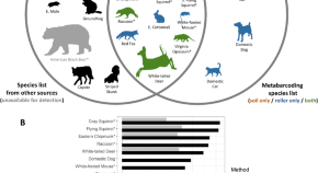 research paper of environmental science