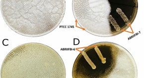 microbial research paper topics