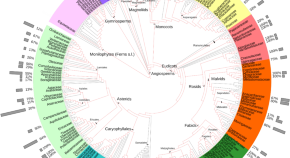 microbial research paper topics