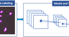 example of a physics research paper