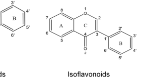 organic chemistry research papers