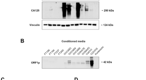 cancer treatment research paper topics