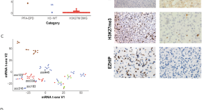 oncology research papers