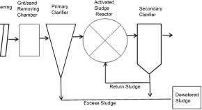 research paper about natural science research paper about natural science