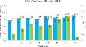 sample sustainability research paper