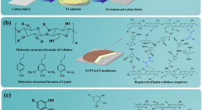 material science research topics