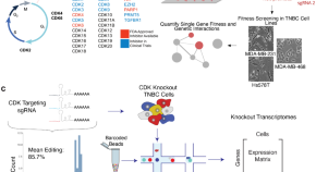 genetic engineering research paper