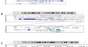 google scientific papers search google scientific papers search