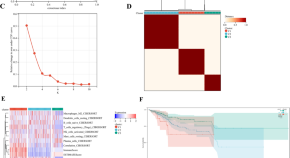 google scientific papers search google scientific papers search