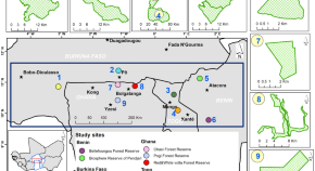 research articles in forestry