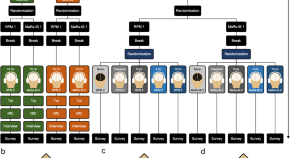 is research always problem solving based