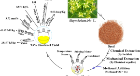 biodiesel production research papers