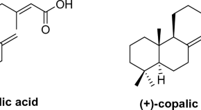 research and reports in medicinal chemistry research and reports in medicinal chemistry