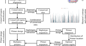 microbial research paper topics