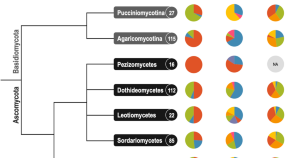 microbial research paper topics