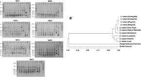 example of research article pdf example of research article pdf