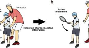 new research on memory