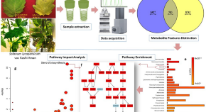 organic chemistry research papers