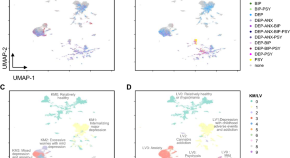 primary research article finder