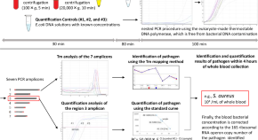 polymerase chain reaction research paper